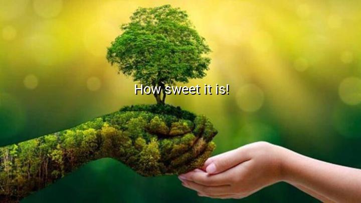 How sweet it is!